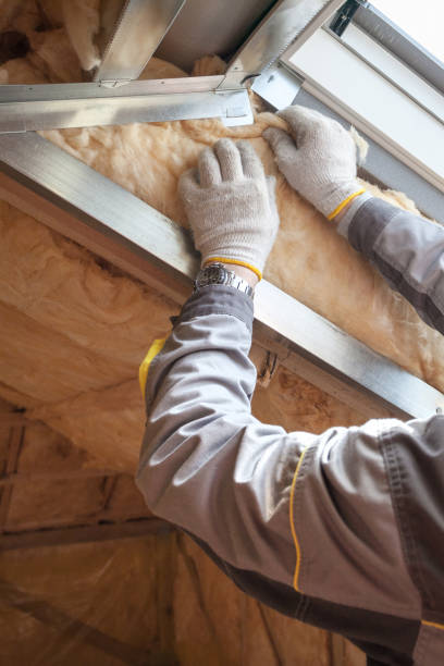 Best Local Insulation Services  in Lake Ripley, WI