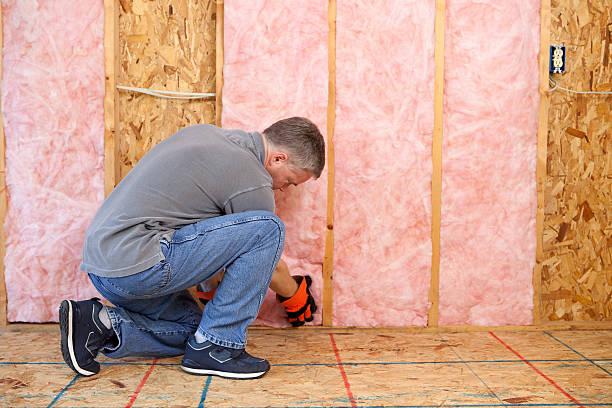 Best Professional Insulation Contractor  in Lake Ripley, WI